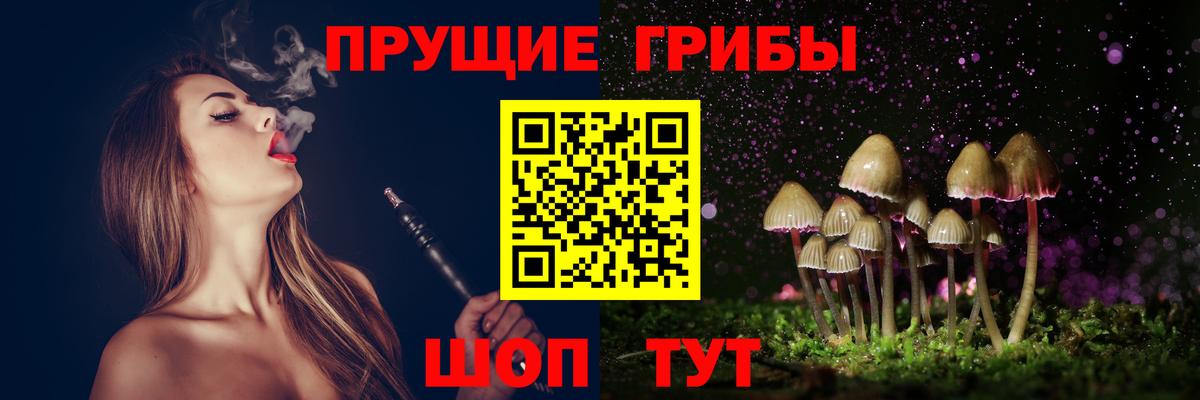 Галлюциногенные грибы мицелий Павловский Посад
