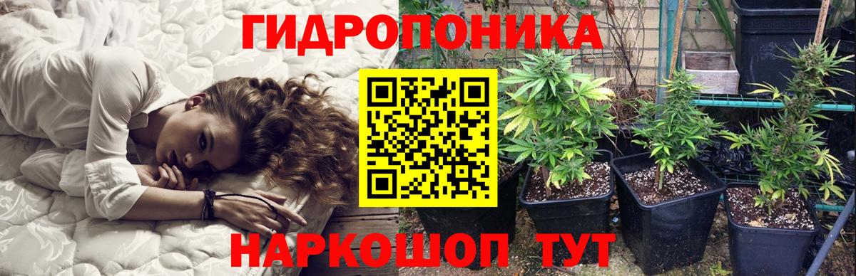 Конопля MAZAR Павловский Посад